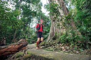 BIB: 
                            <button type="button" onclick="openModal(24809702)" class="btn btn-primary btn-sm float-right btn-popup" data-toggle="modal" data-target=".modal-high-quality">
                        <i class="fas fa-shopping-cart"></i> Add to Cart
                    </button>
                                            <button type="button" onclick="isThisMe(24809702, true)" class="btn btn-success btn-sm float-right btn-popup btn-isme hidden" data-toggle="tooltip" data-placement="bottom" title="นี่คือรูปของคุณใช่ไหม คลิกที่นี่เพื่อเอาเข้าอัลบั้ม">
                        <i class="fas fa-plus"></i> Add to album
                    </button>
                    <button type="button" onclick="isThisMe(24809702, false)" class="btn btn-warning btn-sm float-right btn-popup btn-isnotme hidden">
                        <i class="fas fa-ban"></i> Remove from album
                    </button>